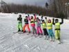 Jarné lyžovačky (04. - 22.02.2019)