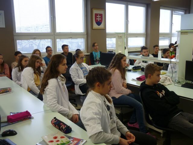 Prevencia kriminality (27.11.2018)