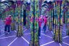 TrickLandia (04.10.2019)