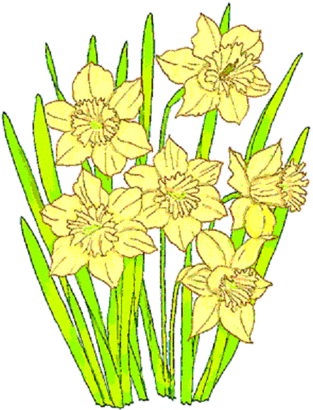 narcis.gif